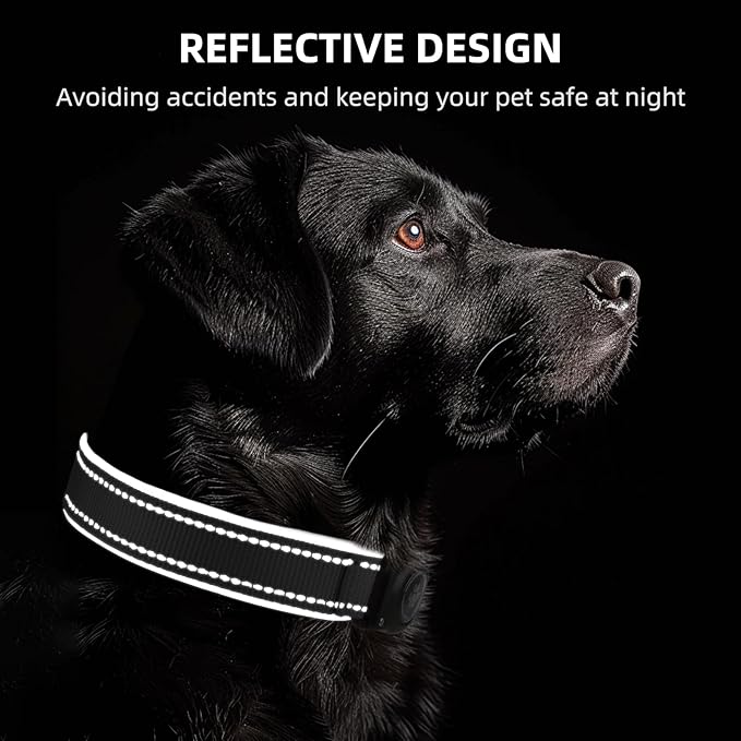 Airtag Dog Collar - 100% Waterproof Air tag Dog Collar Holder for Apple AirTag, Reflective, Soft Padded, Everlasting, GPS Dog Collar for Small Medium Large Dogs (Black, L)
