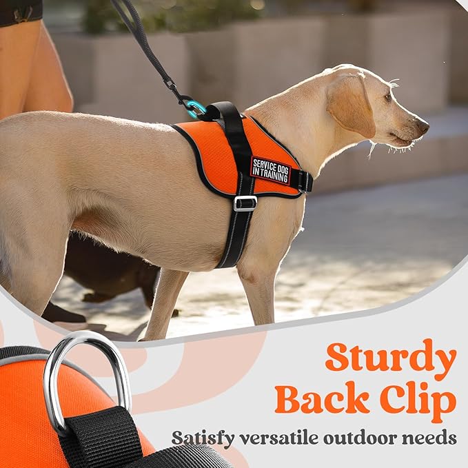 rabbitgoo Dog Harness for Small, Easy On Pet Vest with One Buckle, No Pull Adjustable Service Harness with D-Ring & Handle, Reflective for Safety Walking, Training, Orange, S