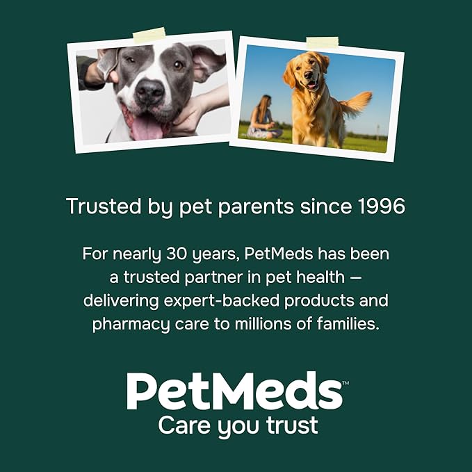 PetMeds Hip & Joint Supplement for Dogs - Vitamins, Glucosamine, MSM, Chondroitin, Collagen for Joint Mobility & Flexibility - Senior Dog Arthritis Support - Beef & Sweet Potato Flavor - 60 Soft Chews