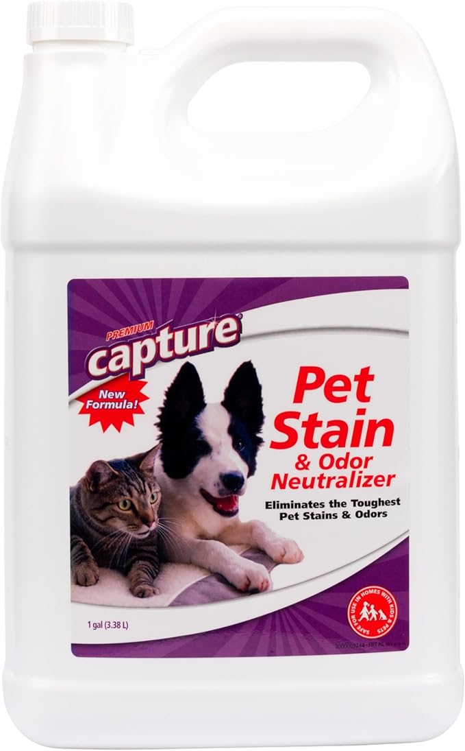 Capture Pet Stain & Odor Neutralizer - Pet Stain Remover for Carpet, Wood, Leather, Rug, Bed, Couch, Car, Upholstery, Clothes, Curtains, Wall, Floor, Concrete - 32oz Portable Spray Bottle