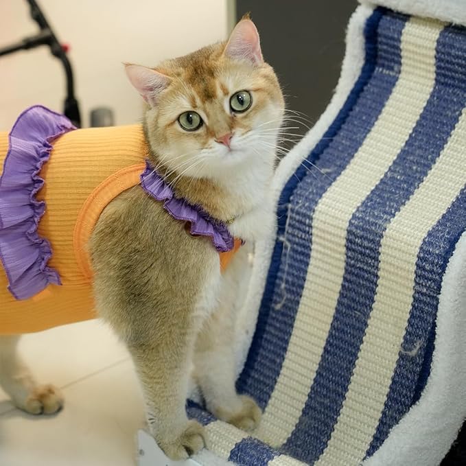 Cat Recovery Suit,Kitten Onesie After Surgery,E-Collar Alternative for Abdominal Wound and Skin Diseases,Soft Breathable Bodysuit After Spay(Orange-l)