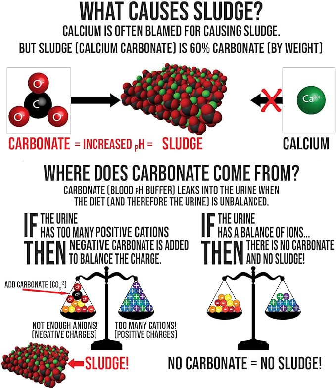 Sherwood Pet Health Adult Guinea Pig Food - Free Choice Timothy Pellet-4.5lbs