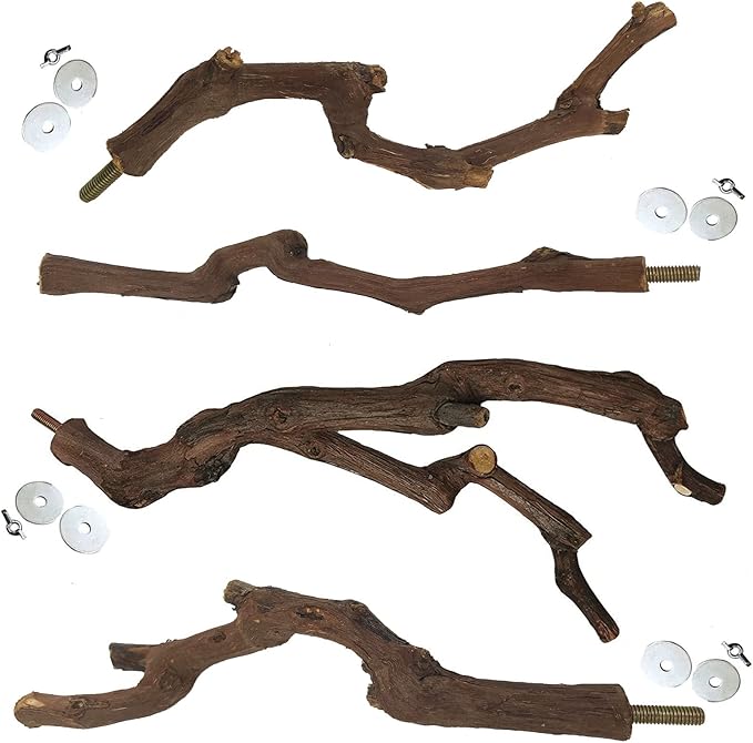 kathson Natural Parrot Perch Bird Stand Pole Wild Grape Stick Paw Grinding Fork Parakeet Climbing Standing Branches Toy Chewable Cage Accessories for Small Budgies Cockatiels Lovebirds 4PCS