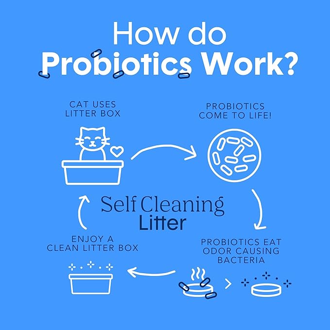 Boxie® Probiotic Cat Litter 40 Day Natural Odor Control, 16lb Clumping Kitty Litter (Clay)