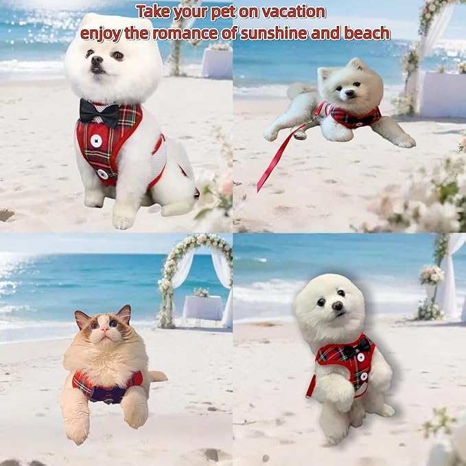 Dog Tuxedo for Wedding, Formal Pet Suit with Bow Tie and Leash, Adjustable Dog Costume for Small Medium Large Dogs, Birthday Christmas Halloween Party Apparel, M(8-14LB)