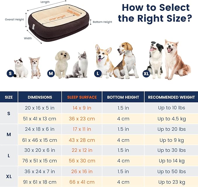 Orthopedic Dog Bed Small Washable, Egg Crate Foam Cat Bed for Senior Cat,Oval Kennel Bed, Pet Couch Bed with Four Sided Bolster, Removable Washable Cover Non-Slip Bottom, Brown