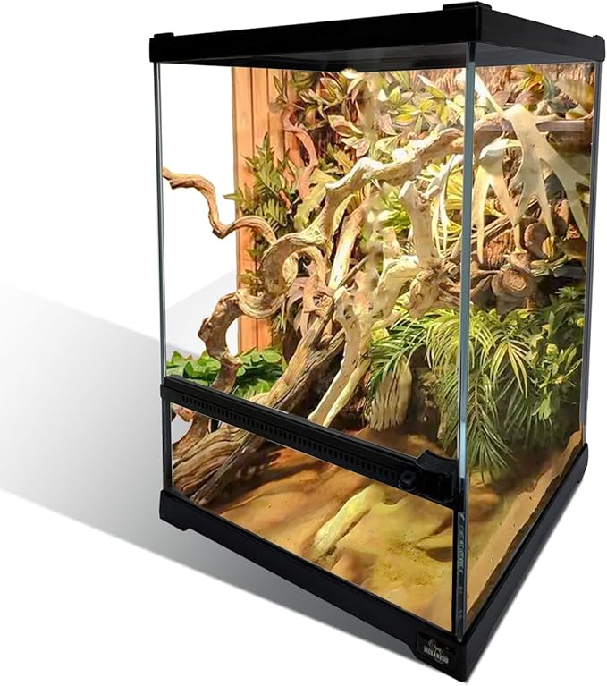 Reptile Glass Terrarium Tank 10 * 10 * 14in, Full View with Front Opening Door,Amphibians Enclosure Habitat Cage for Leopard Gecko Tarantula Young Lizard Hermit Crab Frog Insects Breeding