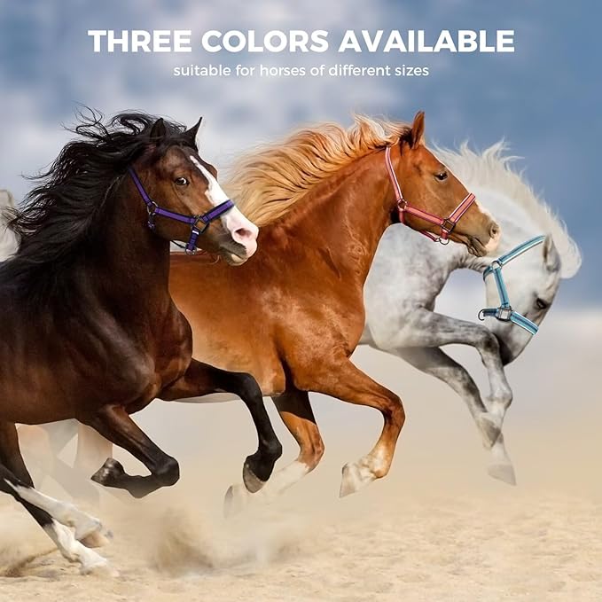 JWODVNTH Adjustable Horse Halter with PP Webbing, Durable Horse Halters with Zinc Alloy Hardware, Horses Training Equipment to Prevent Friction for Training, Competitions & Daily