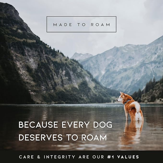 MADE TO ROAM Premium Explorer Harness - Y-Shaped Dog Harness with Adjustable Durable Nylon, Soft Padding, Metal Buckles and Leather Handle for Small, Medium, Large Dogs (New York Afterlight, Size 3)