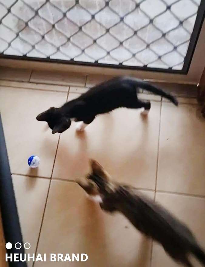 10-Pack Cat Toy Balls for Kittens and Adult Cats, Furry Fun (1.5'' - 2.1'', Cat Toys Value Pack)