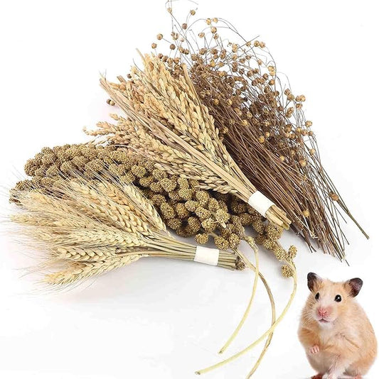 Hamster Spray Set - Natural Snack Grains & Chew Toys for Cage Decoration Accessories, Soft Bedding for Dwarf Syrian Hamsters, Gerbils, Mice & Small Pets