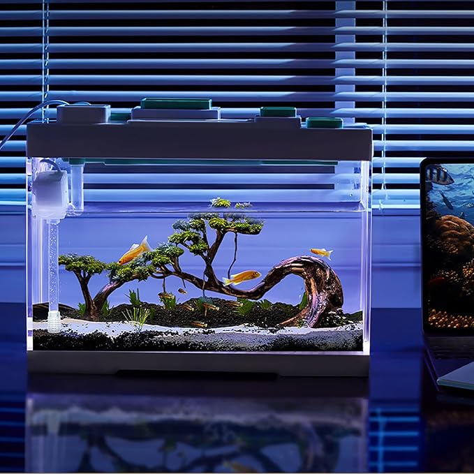 Modern Acrylic Betta Fish Tank Aquarium Kit with LED Lighting and USB Charging Ports 20 Gallon Small Fish Tank for Home Office Decor, Ideal for Living Rooms, bedrooms (White)