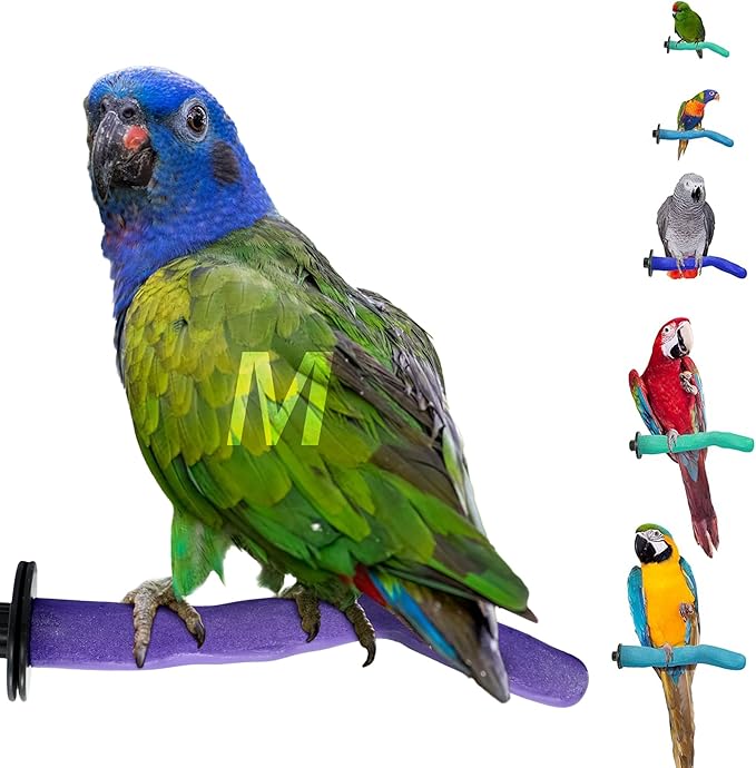 Sweet Feet & Beak Safety Pumice Bird Perch, Medium 1-1/4" X 12", Green - Lightweight Grinding Bird Perches for Cage - Bird Nail Trimming Perch for Healthy Beak & Feet - Multi-Size & Color Parrot Stand