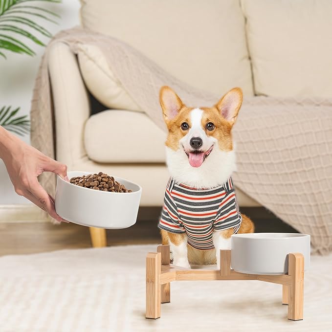 Elevated Ceramic Dog Bowl Set - Raised Dog Bowls with Non-Slip Bamboo Stand - Dog Food and Water Bowl Set - Double Dog Feeding Bowls - Suitable for Small and Medium Dogs - 28.74 OZ - 3.6 CUPS - 850 ML