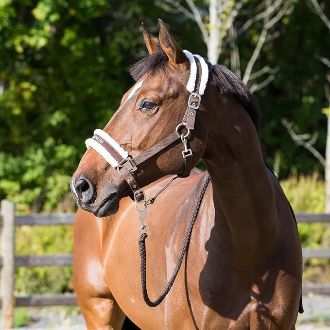 HORZE Howard Soft Fleece Padded Adjustable Polyester Horse Halter - Dark Brown - Pony