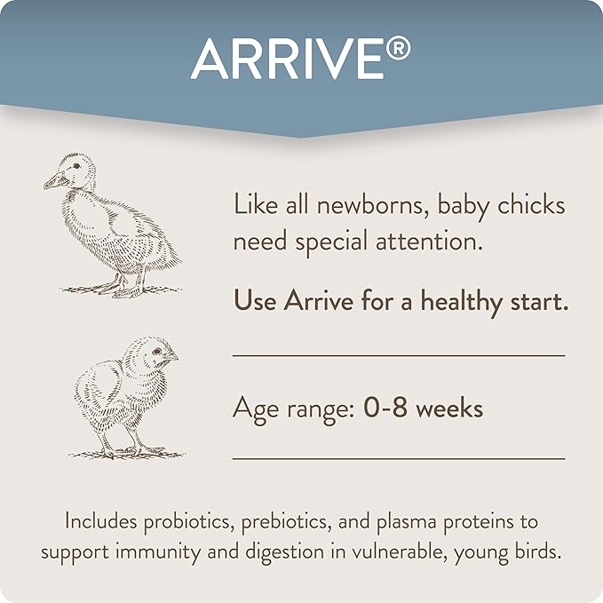 Arrive, Daily Probiotic & Prebiotic Water Supplement for Young Chickens 0-8 Weeks Old, 8 oz (Pack of 2)