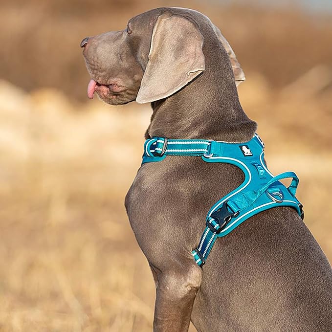 TRUE LOVE Dog Harness No Pull Nylon Reflective Pet Harness Adjustable Comfortable Control Step-in Brilliant Colors Truelove TLH56512