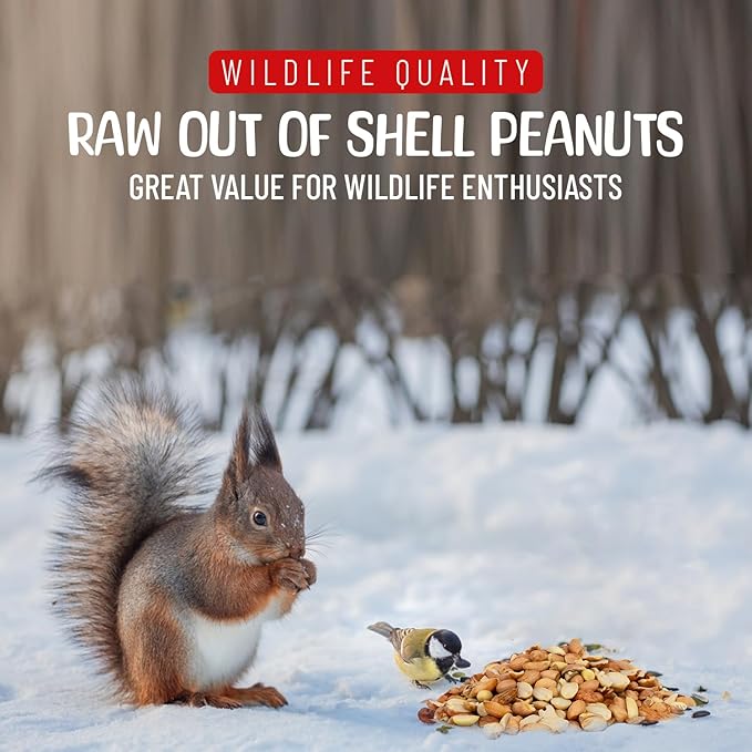 Premium Quality Raw Out of Shell Peanuts - 3 Pound - Shelled Peanuts for Birds – Wildlife Quality - Food for Squirrels, Deer, Birds, and Other Wildlife Animals – Grown in The USA