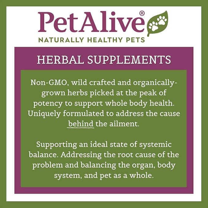 PetAlive GlucoEnsure - All Natural Herbal Supplement for Maintaining Blood Sugar (Glucose) Levels Already in The Normal Range in Pets