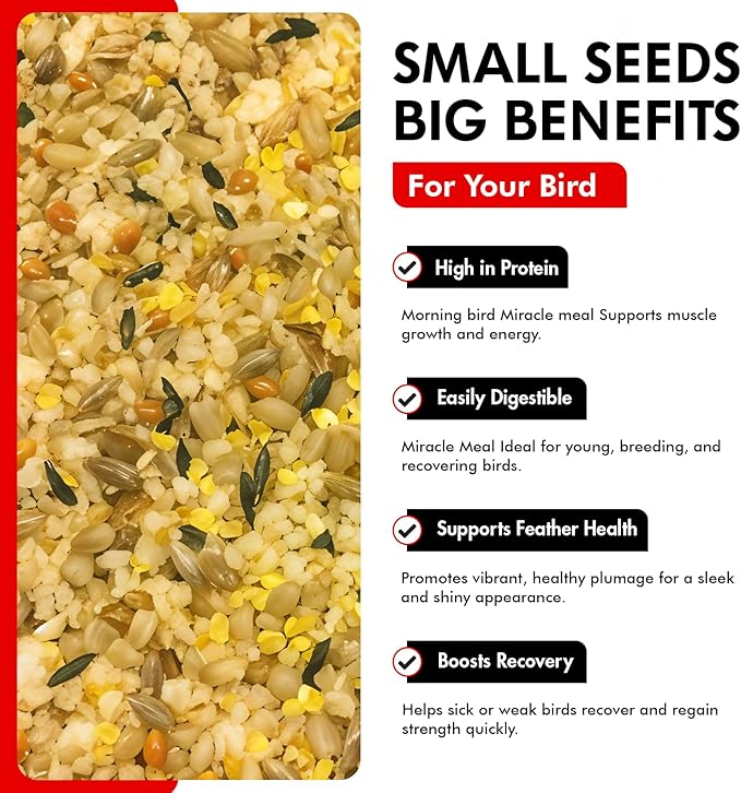 Morning Bird Miracle Meal 3 lbs (2-Pack, 1.5 lbs Each) – Soft Food for Birds with Vitamins & Supplements – Packed with Protein, Minerals & Amino Energy – Promotes Strong Feathers & Overall Wellness