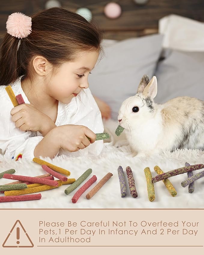 Bissap 72 PCS Rabbit Chew Sticks, Natural Timothy Hay Pumpkin Sugar Beet Carrot Strawberry Rose Dahlberg Daisy Forget-me-not Flower Treat for Bunny Chinchilla Guinea Pig Hamster Small Pet Molar Snack