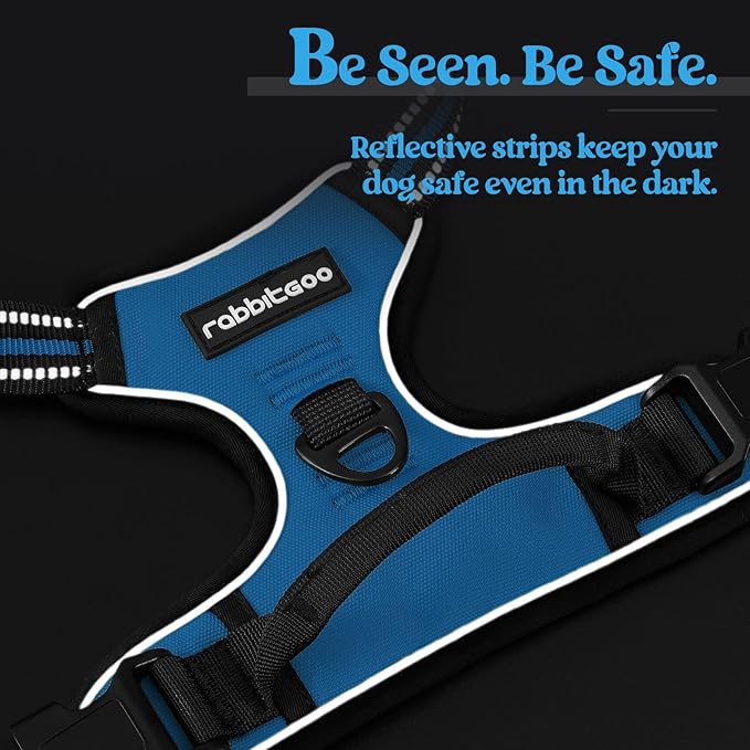 rabbitgoo Dog Harness No Pull with 2 Leash Clips, Adjustable Soft Padded, Reflective Oxford No Choke Pet Vest with Easy Control Handle for Large Dogs, Blue, L