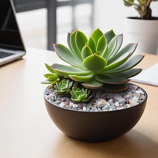 5 lbs Natural Pea Gravel Pebbles for Aquarium, Fish Tank, 3/8 inch Decorative Pebbles for Indoor Plants, Succulent, Bamboo, Vase, Drainage Rocks for Potted Plants, Top Dressing, Mixed Color