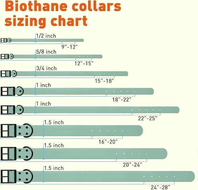 Dogline Biothane Waterproof Dog Collar Strong Coated Nylon Webbing with Black Hardware Odor- Proof for Easy Care Easy to Clean High Performance Fits Small Medium or Large Dogs, Sage Green