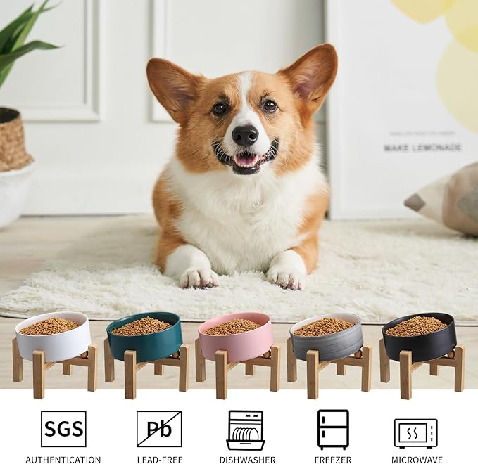 Black Elevated/Raised 15°Tilted Anti Slip Ceramic Dog Bowl for Medium & Large Breeds,Slanted Bulldog Big Face Pet Feeding Food Water Dish Stand for Dogs (7.6 Cups/60OZ)