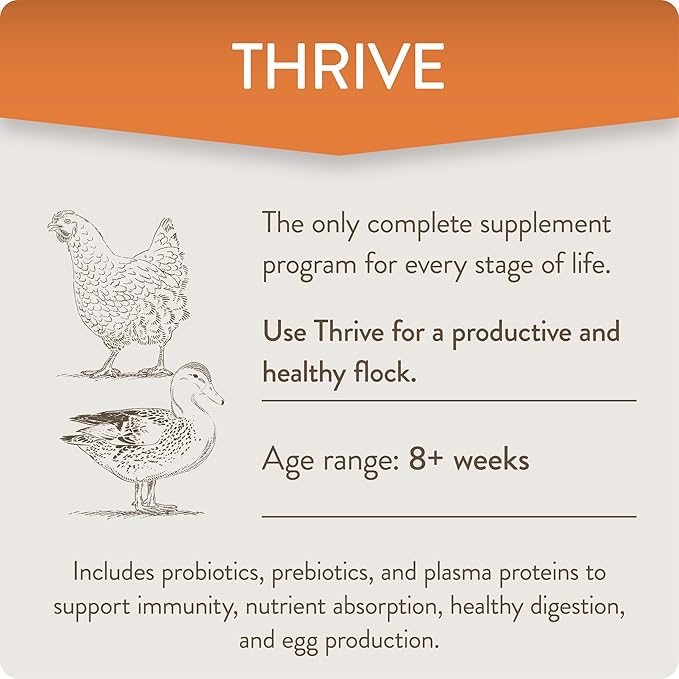 Thrive, Daily Probiotic & Prebiotic Water Supplement for Chickens 8+ Weeks Old, 8 oz (Pack of 2)