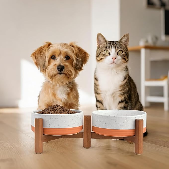 SPUNKYJUNKY Ceramic Elevated Dog Bowl Set with Acacia Wood Stand for Food and Water for Cat and Small Dog (13.52 OZ, White and Reddish Brown)