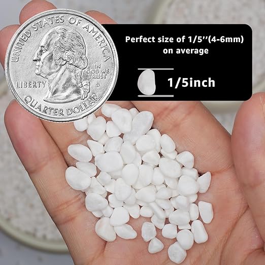 1/5 Inch White Succulent Cactus Gravel, 5 lbs – Ideal for Succulent Plant Pots, Vase Fillers, Glass Containers, Aquariums, Patios, and Outdoor Gardening River Stones (White, 5 Pounds)