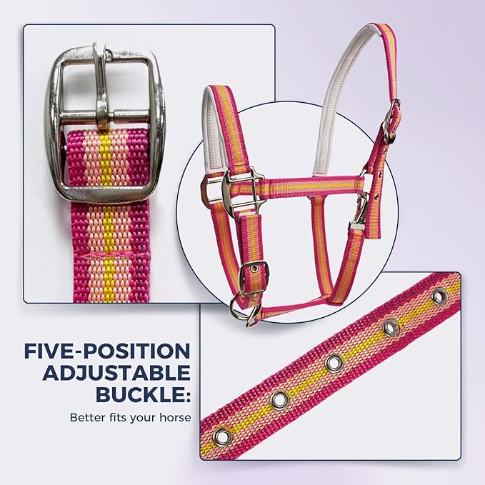 JWODVNTH Adjustable Horse Halter with PP Webbing, Durable Horse Halters with Zinc Alloy Hardware, Horses Training Equipment to Prevent Friction for Training, Competitions & Daily