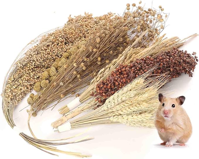 Hamster Spray Set - Natural Snack Grains & Chew Toys for Cage Decoration Accessories, Soft Bedding for Dwarf Syrian Hamsters, Gerbils, Mice & Small Pets
