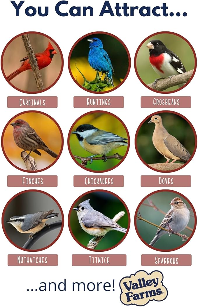 Valley Farms Cardinal Mix (10 LB) Wild Bird Food for Outside Feeders, Cardinal Bird Seed with Black Oil Sunflower Seeds and Safflower Seeds, Attract a Variety of Wild Birds