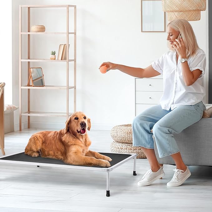 Veehoo Chewproof Elevated Dog Bed - Cooling Raised Pet Cot, Breathable Mesh, Washable & Non-Slip for Large Dogs, Indoor/Outdoor, Black Mat and Silver Metal Frame, 42x30inches (Model CWC2203B03)