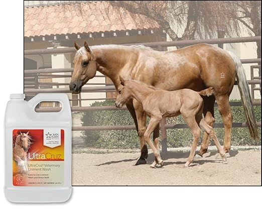 UltraCruz® Veterinary Liniment Wash for Horses, 1 gal Refill