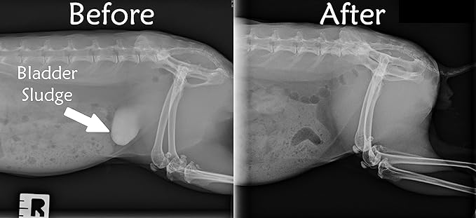 Sherwood Pet Health Adult Rabbit Food Alfalfa Timothy Hay-Based Blend 4.5 lbs, Grain and Soy-Free for Better Digestion