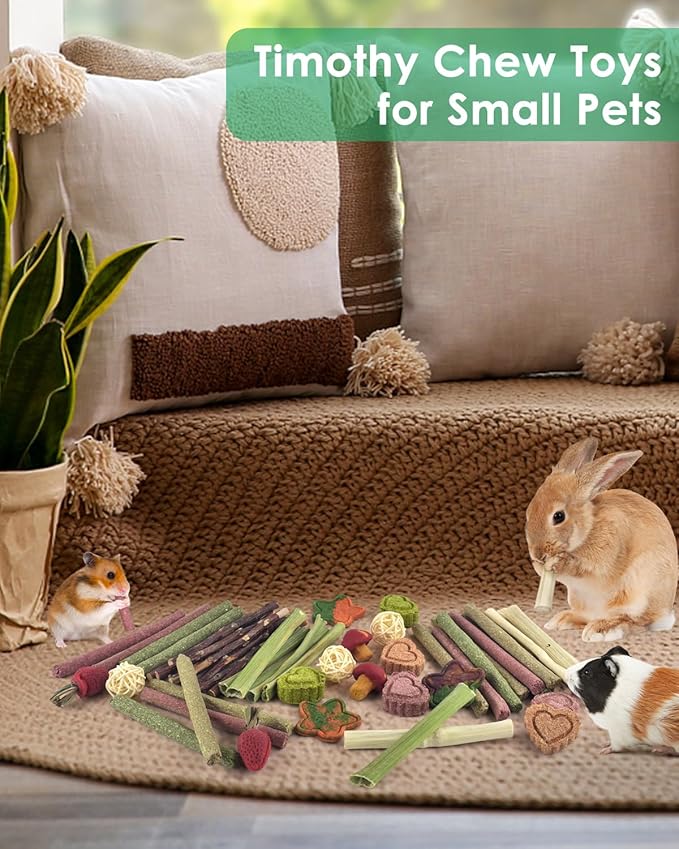 ERKOON 53 Bunny Chew Toys for Rabbits Teeth, Natural Rabbit Toys Apple Wood Sticks, Carrot, Timothy Grass for Small Pets, Hamster, Chinchilla, Guinea Pig Dental Care and Treat Teething(53)