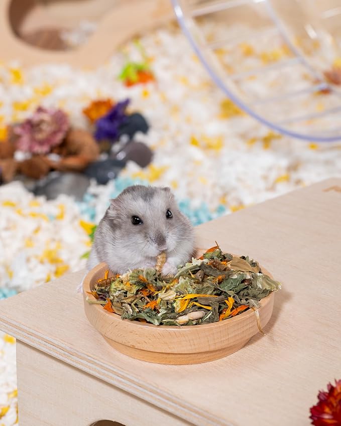 Niteangel Hamster Food & Treats Toy - Small Animal Natural Food for Syrian Golden Dwarf Robo Hamsters or Other Small-Sized Pets