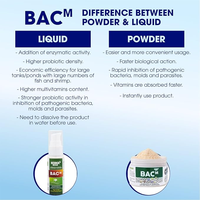KOIKA BACM Natural Color Enhancement for Fish, Combination of Probiotic & Multi-Vitamins for Aquarium A, B6, B2, Pleasant Smell (BACM (New Formula), 10ml)