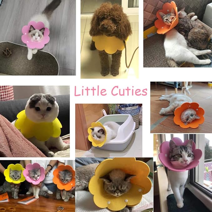 Cute Flower Recovery Collar - Adjustable M Size (2pcs), After Surgery Elizabethan Collar for Kittens, Cats, Puppies & Rabbits