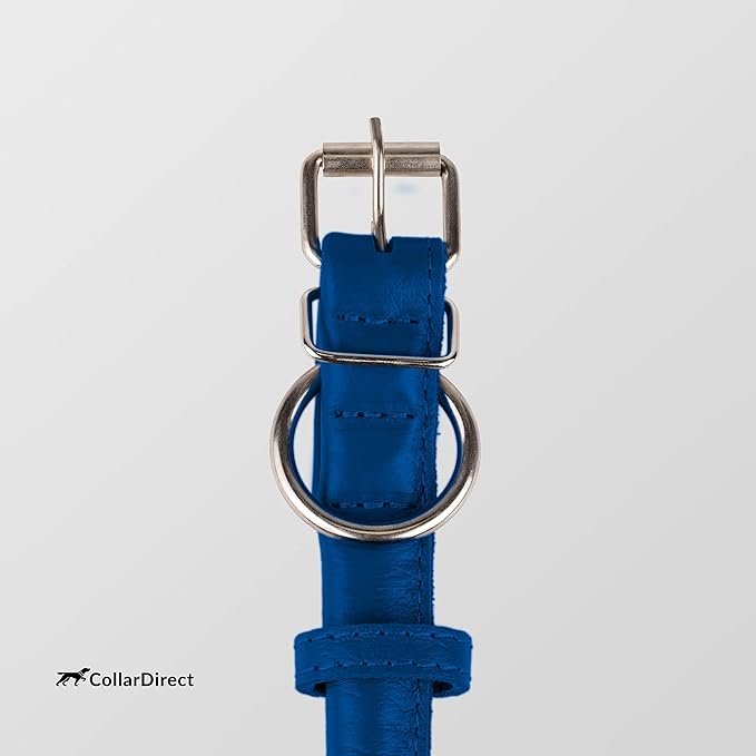 CollarDirect Rolled Leather Dog Collar, Soft Padded Round Puppy Collar, Handmade Genuine Leather Collar Dog Small Large Cat Collars 13 Colors (11-14 Inch, Deep Blue Textured)