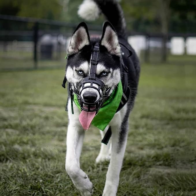 BARKLESS Dog Muzzle, Soft Basket Silicone Muzzle for Dogs to Prevent Biting and Chewing, Breathable Cage Mouth Cover for Training, Allows Drinking and Panting, Used with Collar