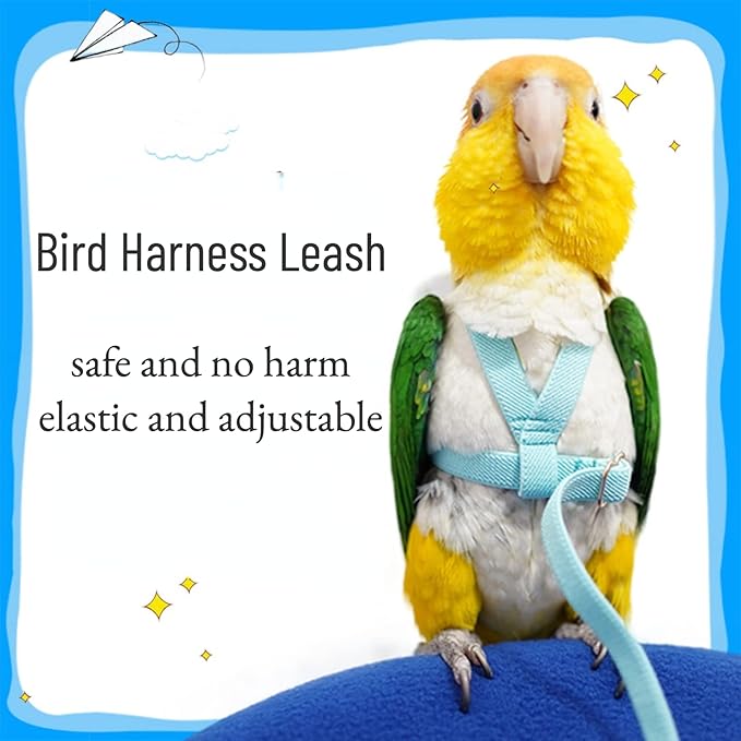 Pet Parrot Bird Harness Leash Adjustable Bird Flying Harness Traction Rope with Cute Wing for Parrots Pigeons Budgerigar Lovebird Cockatiel Mynah Outdoor Training Toy (XL, Blue)