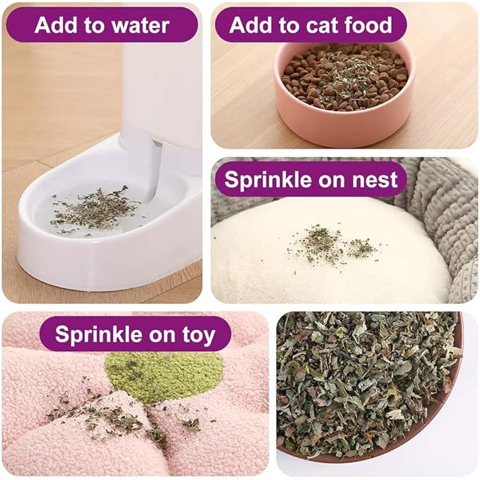 Organic Natural Catnip Cattle Grass Mint Taste Funny Cat Toy New Cat Toy Interactive Cat Toys Pet Supplies