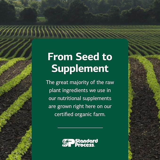Standard Process Inc. Feline Immune System Support - Nutritional Supplement for Feline Immune Health Support - Cat Supplement Tablets to Aid Healthy Immune Cells & Tissue - 90 Tablets