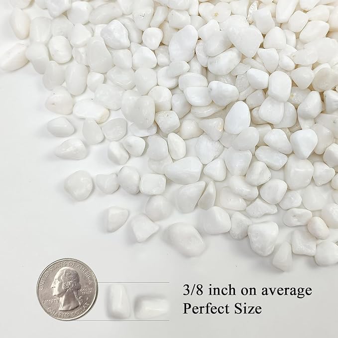 5 lbs White Pebbles for Indoor Plants, 3/8 Inch Decorative White Gravel, Polished River Rocks for Potted Plants Vase Cactus Bird Bath and Outdoor Garden Landscaping