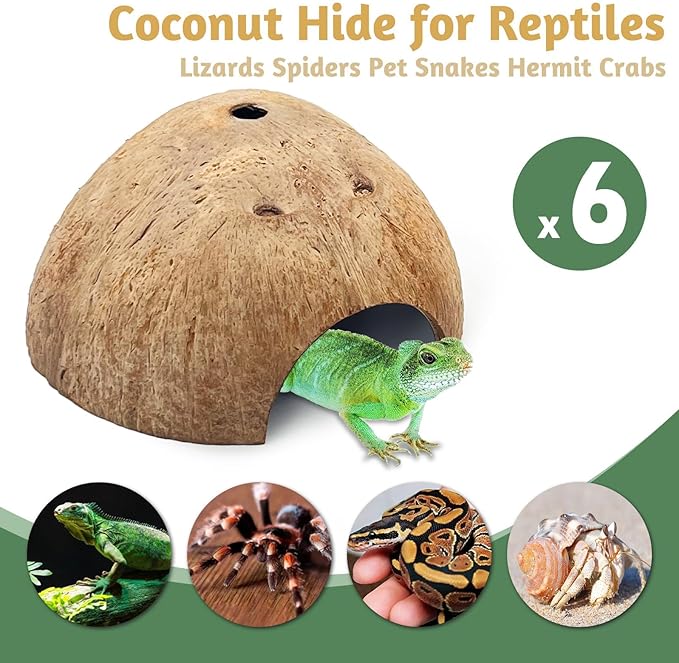 PINVNBY 6 PCS Natural Coconut Reptile Hideouts Lizard, Coco Hut Hermit Crab Hut Aquarium Fish Hide Cave for Small Reptile Crested Gecko Leopard Gecko Spider Snail Climber Toys