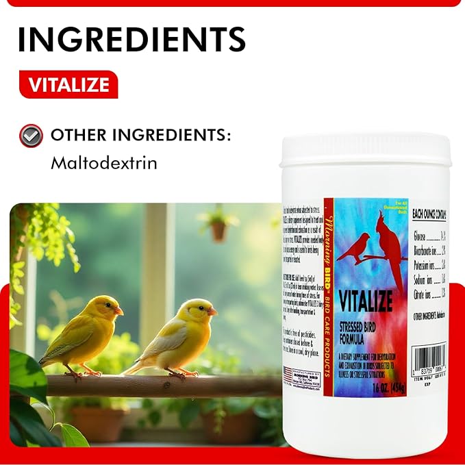 Morning Bird Vitalize, Supplement for Sick, Injured, or Stressed Caged Birds; Dehydration and Exhaustion Treatment for Parakeets, Cockatiels, Budgies, Finches, Canaries, and Parrots, 16 oz